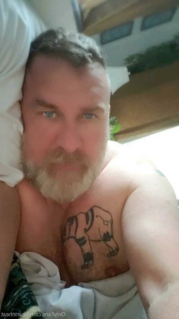 The Daddy Bear Life [ bearinheat ] Onlyfans leaked photo 11297635 on Hotleaks.tv