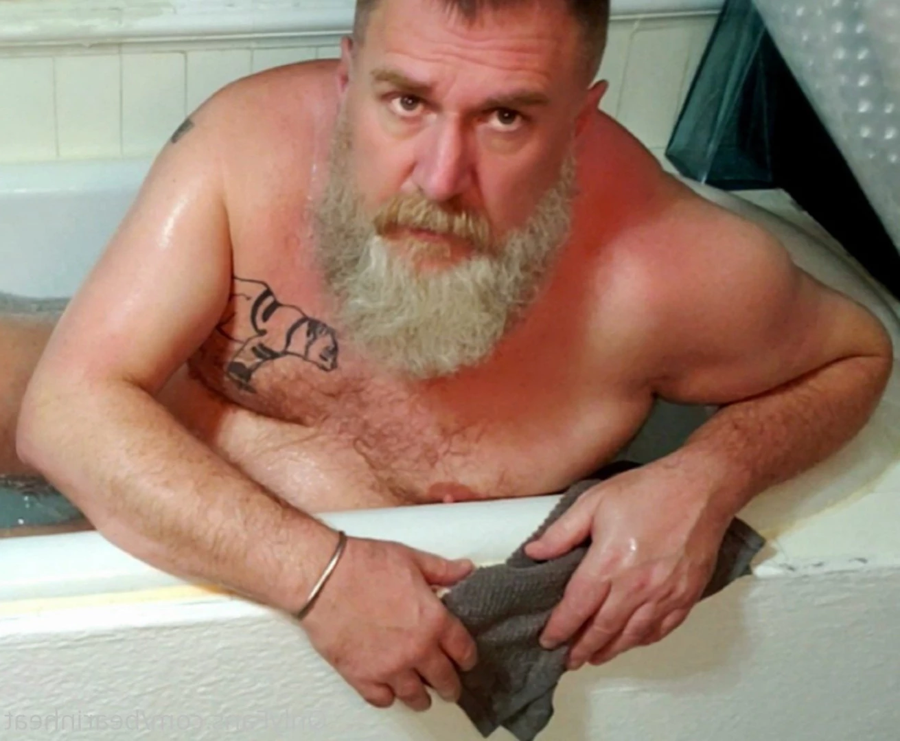 The Daddy Bear Life [ bearinheat ] Onlyfans leaked photo 11297664 on Hotleaks.tv