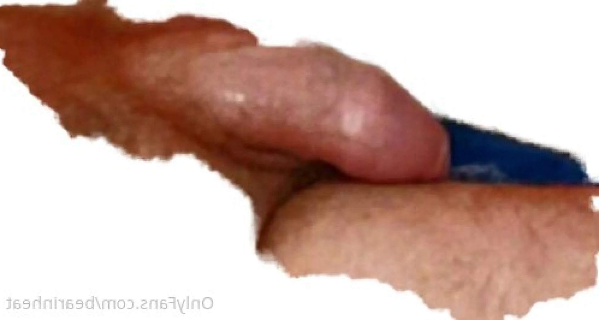 The Daddy Bear Life [ bearinheat ] Onlyfans leaked photo 11297669 on Hotleaks.tv