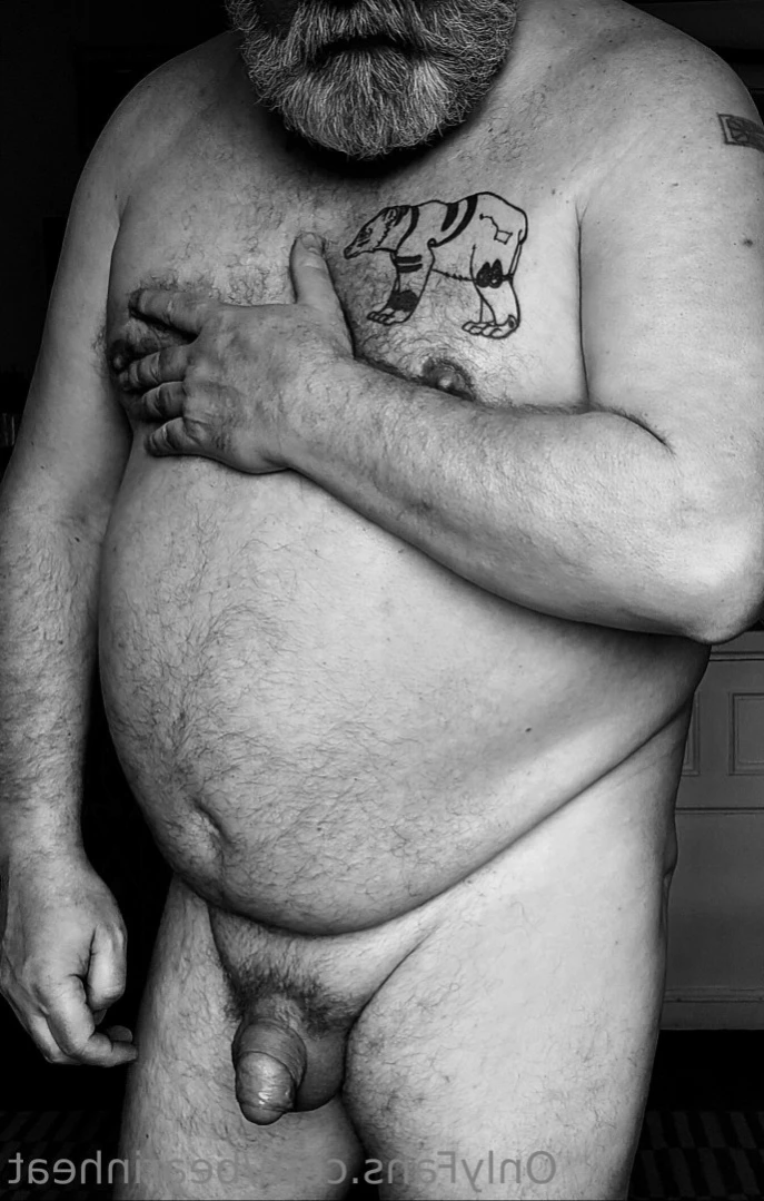 The Daddy Bear Life [ bearinheat ] Onlyfans leaked photo 11297687 on Hotleaks.tv