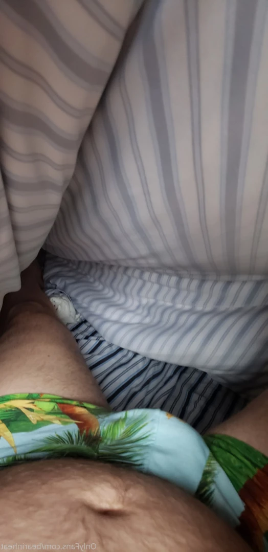 The Daddy Bear Life [ bearinheat ] Onlyfans leaked photo 11297720 on Hotleaks.tv