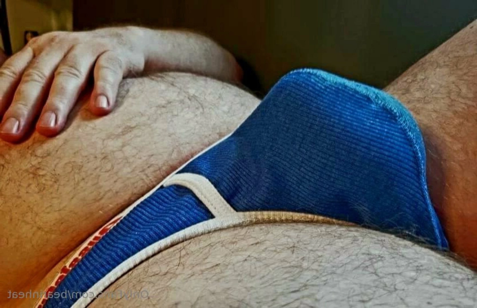 The Daddy Bear Life [ bearinheat ] Onlyfans leaked photo 11297732 on Hotleaks.tv