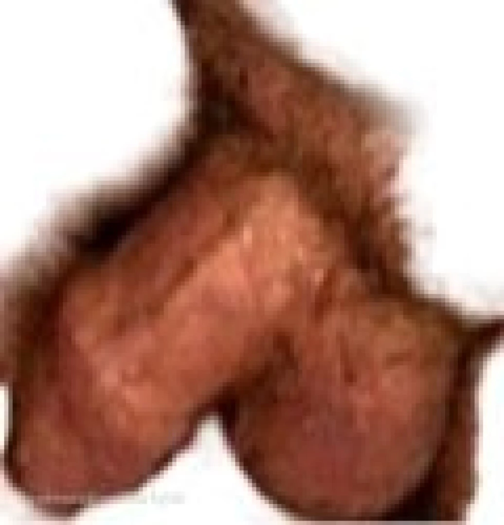 The Daddy Bear Life [ bearinheat ] Onlyfans leaked photo 11297809 on Hotleaks.tv
