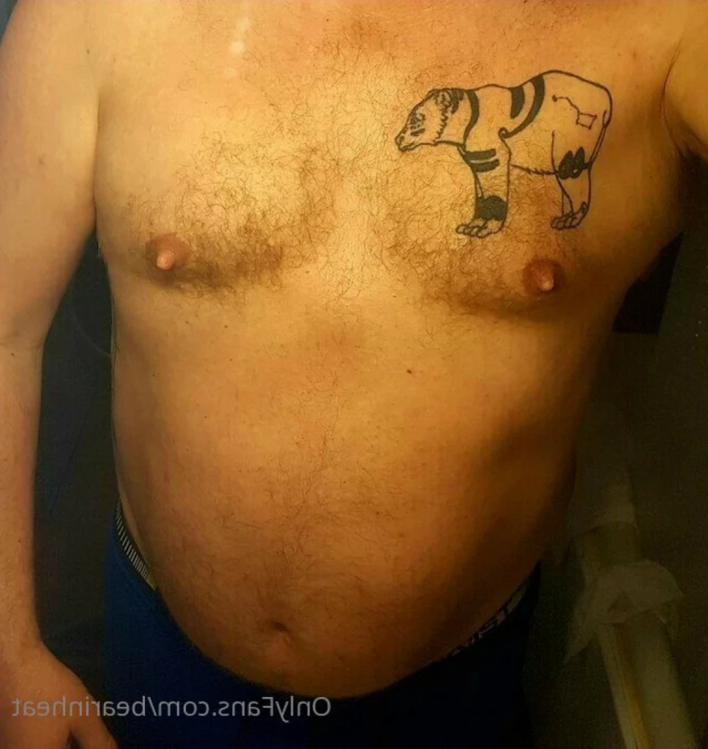 The Daddy Bear Life [ bearinheat ] Onlyfans leaked photo 11628012 on Hotleaks.tv