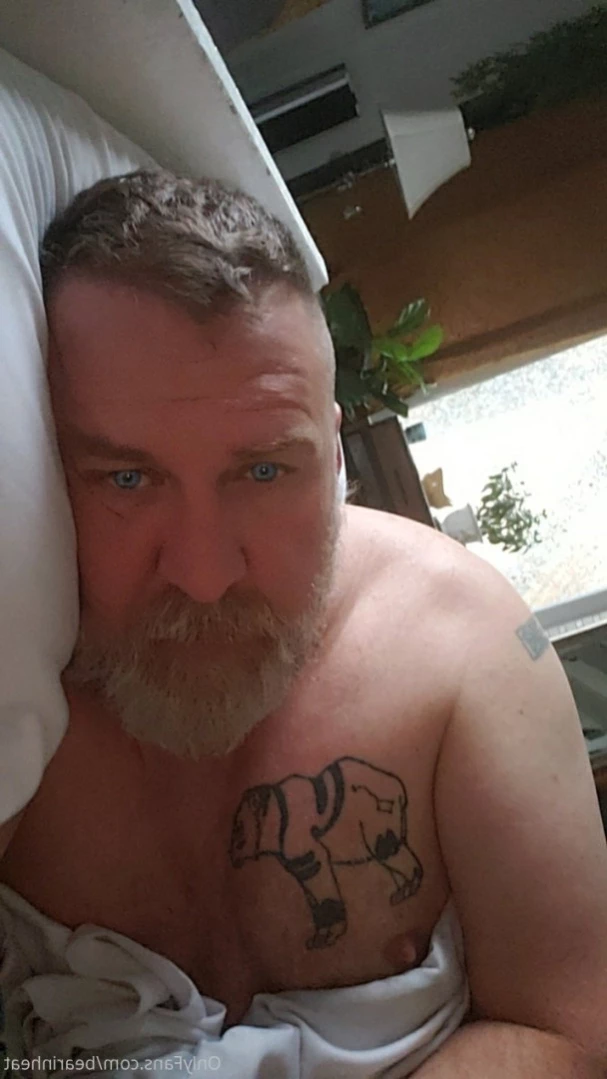 The Daddy Bear Life [ bearinheat ] Onlyfans leaked photo 11641984 on Hotleaks.tv
