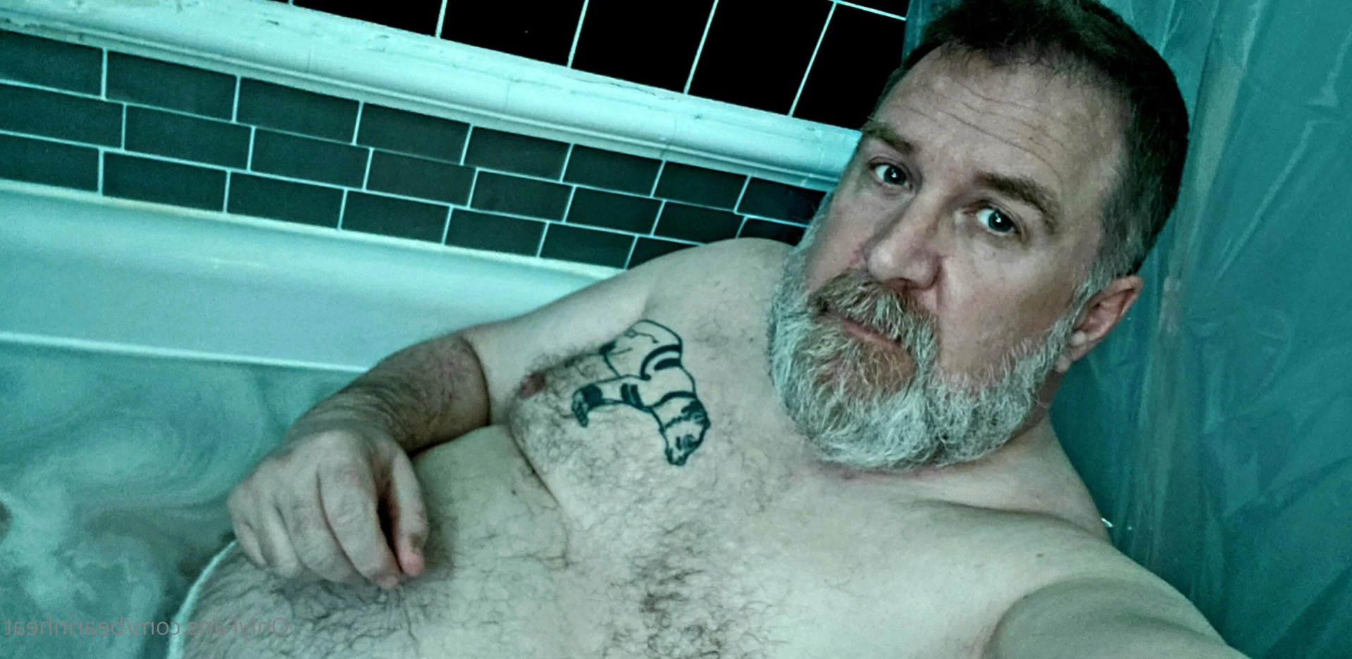 The Daddy Bear Life [ bearinheat ] Onlyfans leaked photo 11685092 on Hotleaks.tv