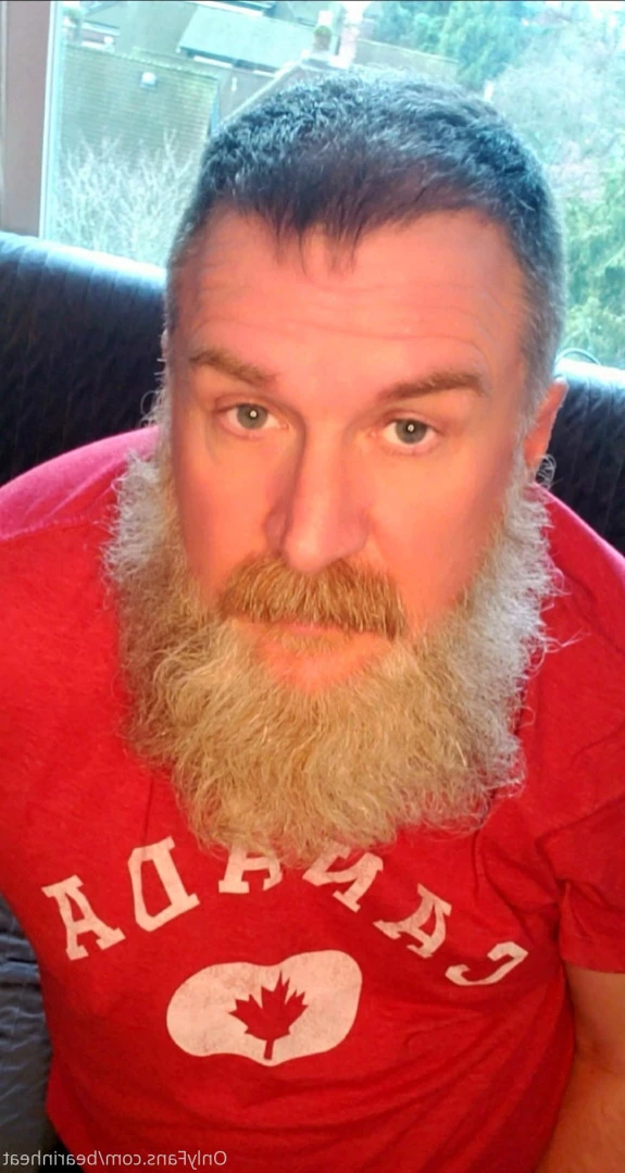 The Daddy Bear Life [ bearinheat ] Onlyfans leaked photo 11876885 on Hotleaks.tv