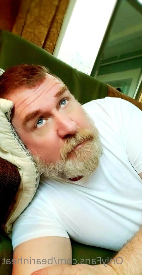 The Daddy Bear Life [ bearinheat ] Onlyfans leaked photo 12060935 on Hotleaks.tv