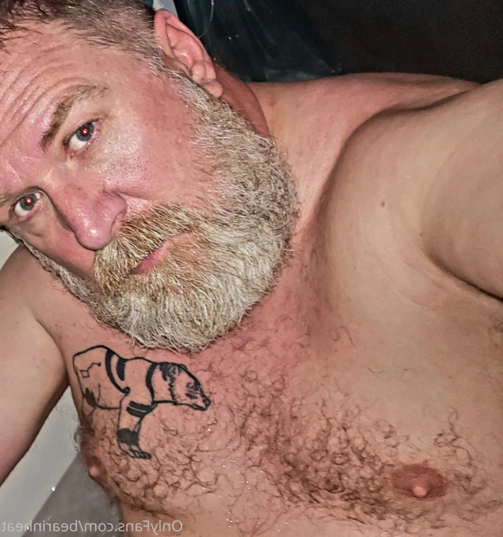 The Daddy Bear Life [ bearinheat ] Onlyfans leaked photo 12072456 on Hotleaks.tv