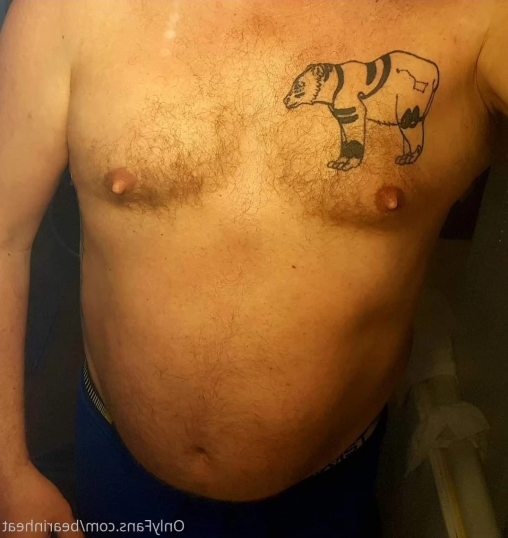 The Daddy Bear Life [ bearinheat ] Onlyfans leaked photo 12080537 on Hotleaks.tv