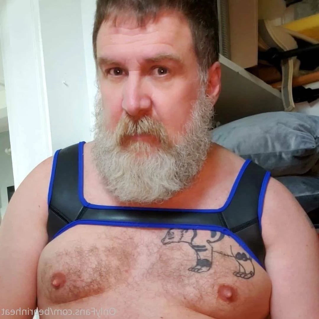 The Daddy Bear Life [ bearinheat ] Onlyfans leaked photo 12160915 on Hotleaks.tv