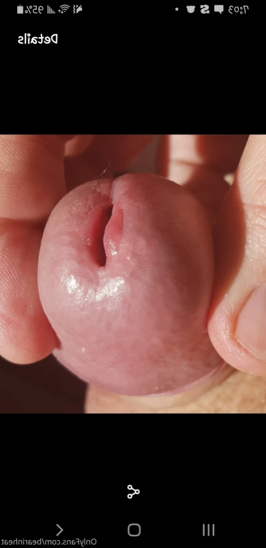 The Daddy Bear Life [ bearinheat ] Onlyfans leaked photo 12405263 on Hotleaks.tv
