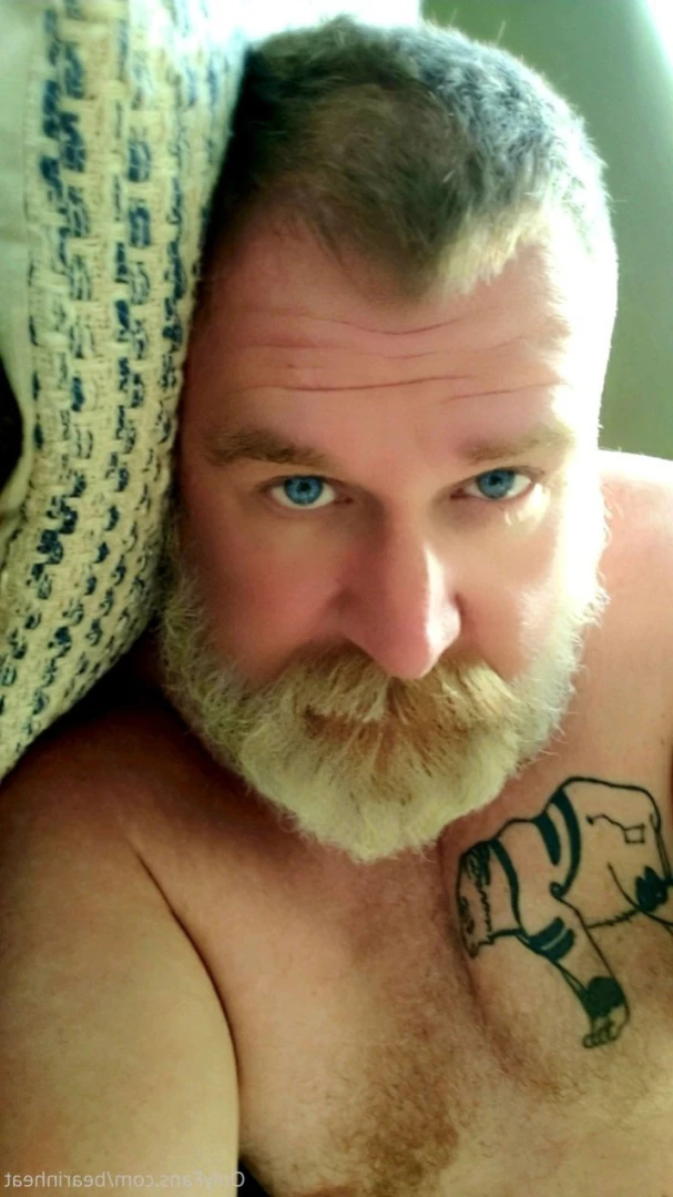 The Daddy Bear Life [ bearinheat ] Onlyfans leaked photo 12411752 on Hotleaks.tv
