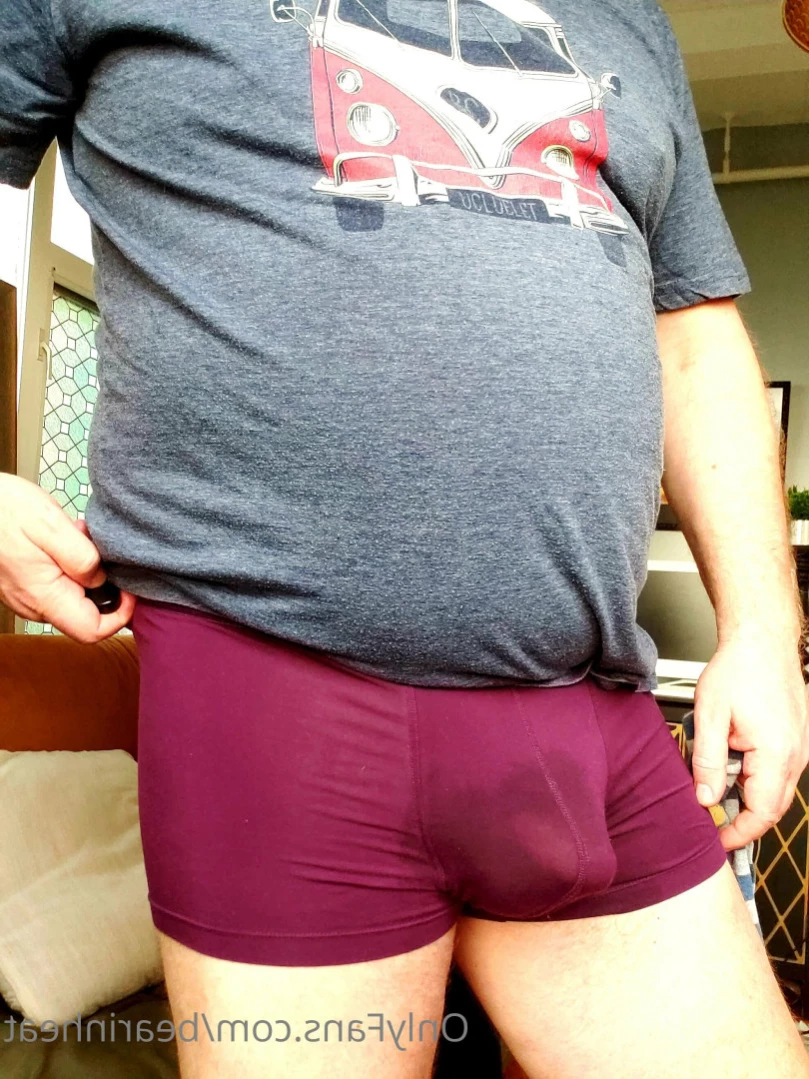 The Daddy Bear Life [ bearinheat ] Onlyfans leaked photo 12465972 on Hotleaks.tv