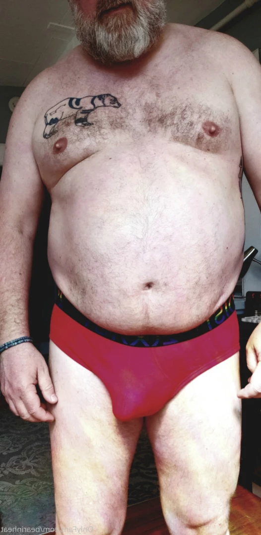 The Daddy Bear Life [ bearinheat ] Onlyfans leaked photo 12634974 on Hotleaks.tv