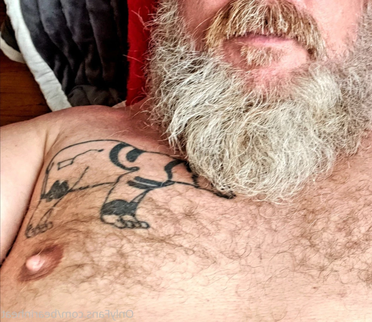 The Daddy Bear Life [ bearinheat ] Onlyfans leaked photo 12685538 on Hotleaks.tv