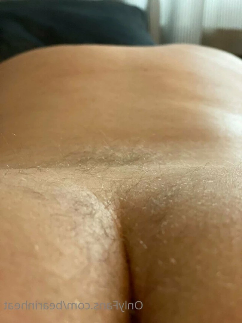 The Daddy Bear Life [ bearinheat ] Onlyfans leaked photo 12706341 on Hotleaks.tv