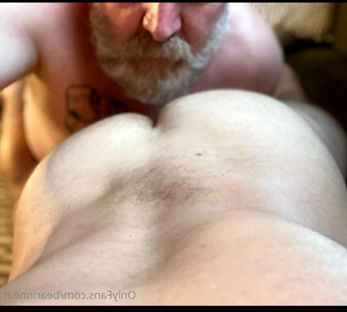 The Daddy Bear Life [ bearinheat ] Onlyfans leaked photo 12706372 on Hotleaks.tv