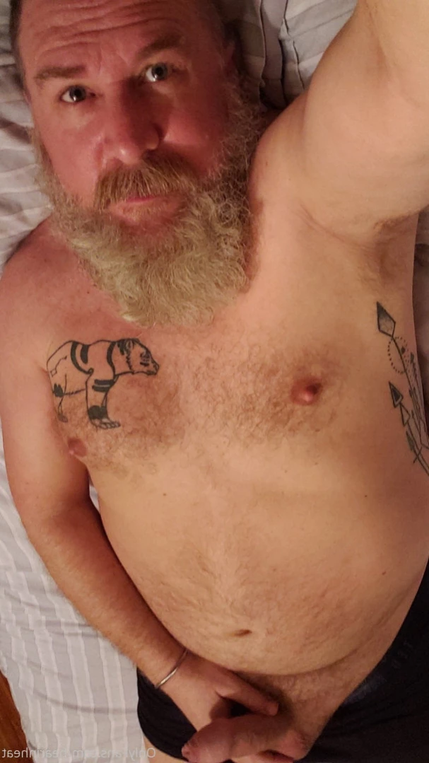 The Daddy Bear Life [ bearinheat ] Onlyfans leaked photo 12706451 on Hotleaks.tv