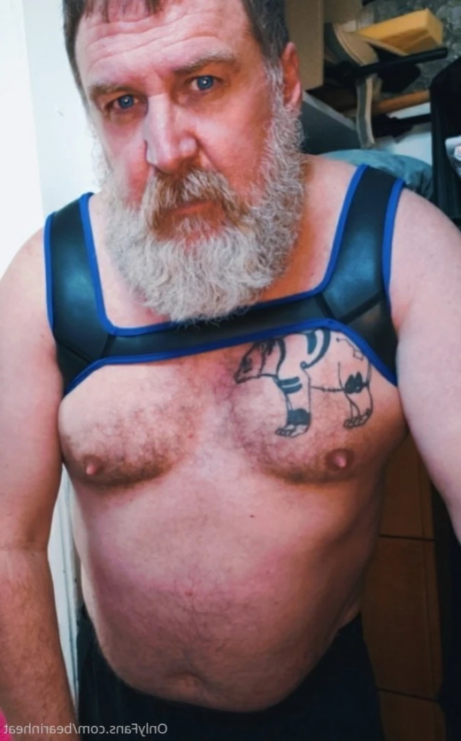 The Daddy Bear Life [ bearinheat ] Onlyfans leaked photo 12713666 on Hotleaks.tv