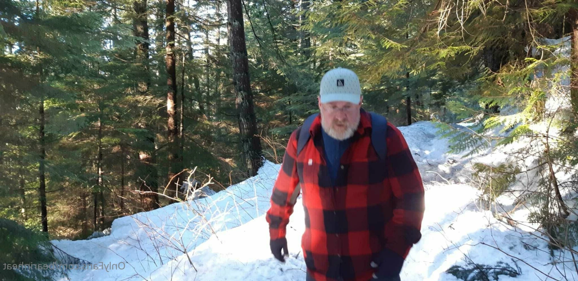 The Daddy Bear Life [ bearinheat ] Onlyfans leaked photo 12713795 on Hotleaks.tv