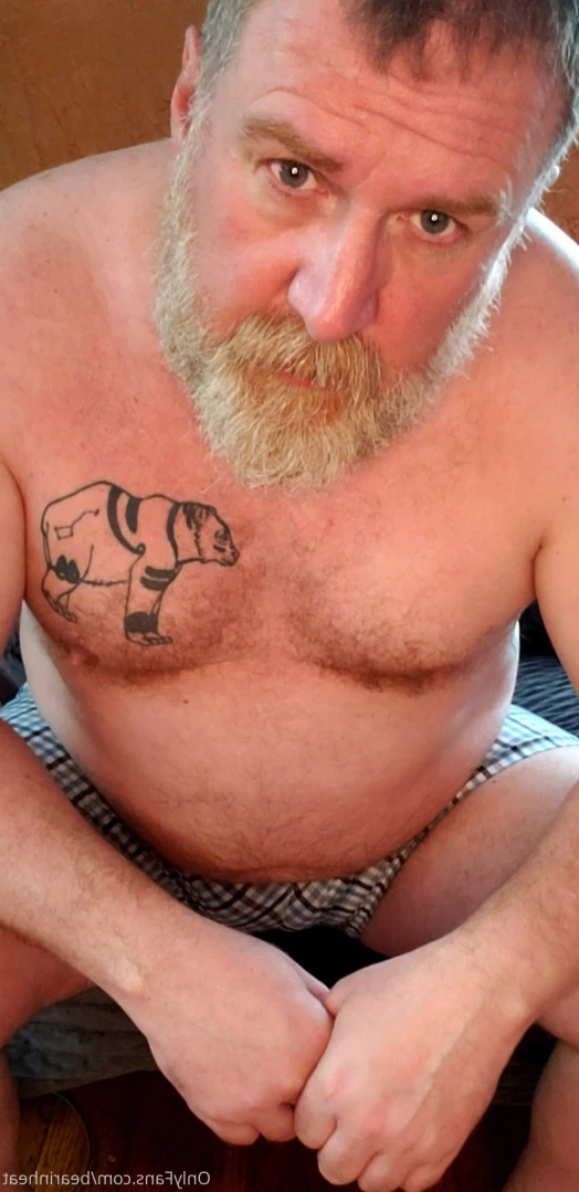The Daddy Bear Life [ bearinheat ] Onlyfans leaked photo 12900885 on Hotleaks.tv