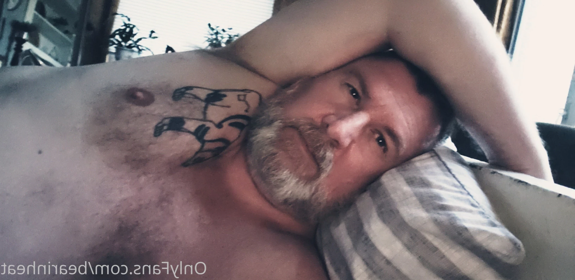 The Daddy Bear Life [ bearinheat ] Onlyfans leaked photo 12991702 on Hotleaks.tv