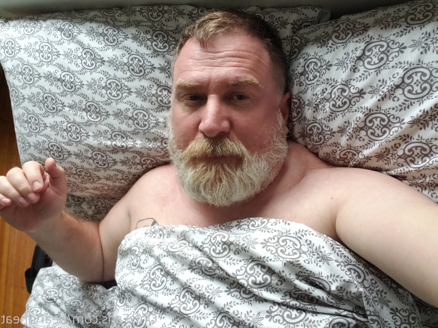 The Daddy Bear Life [ bearinheat ] Onlyfans leaked photo 13132269 on Hotleaks.tv