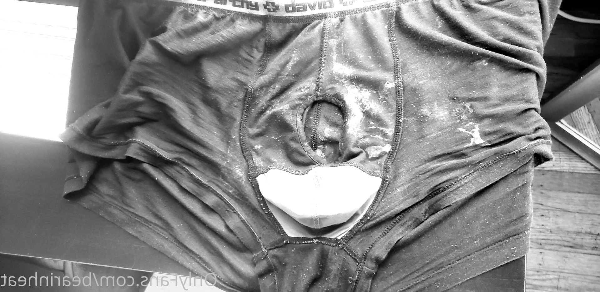 The Daddy Bear Life [ bearinheat ] Onlyfans leaked photo 13304543 on Hotleaks.tv