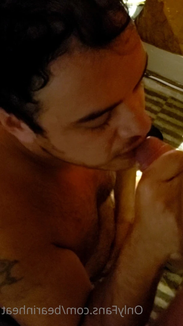 The Daddy Bear Life [ bearinheat ] Onlyfans leaked photo 13309762 on Hotleaks.tv