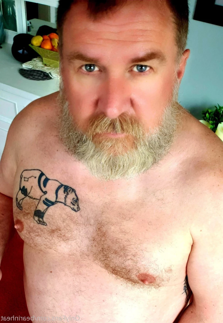 The Daddy Bear Life [ bearinheat ] Onlyfans leaked photo 13470300 on Hotleaks.tv