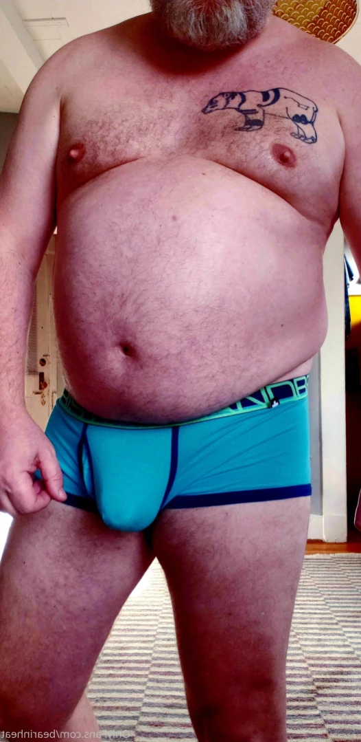 The Daddy Bear Life [ bearinheat ] Onlyfans leaked photo 13497396 on Hotleaks.tv