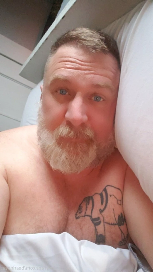 The Daddy Bear Life [ bearinheat ] Onlyfans leaked photo 13505862 on Hotleaks.tv