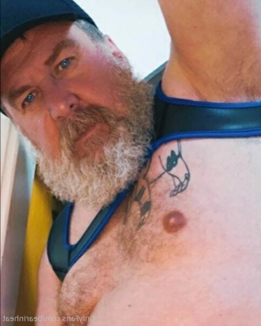 The Daddy Bear Life [ bearinheat ] Onlyfans leaked photo 13630322 on Hotleaks.tv