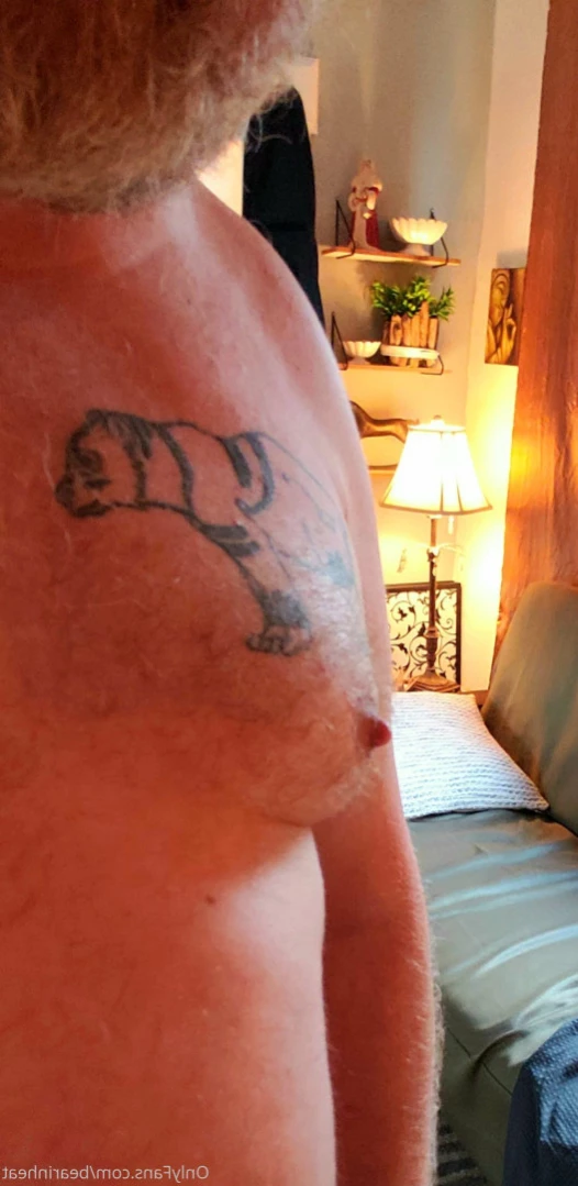 The Daddy Bear Life [ bearinheat ] Onlyfans leaked photo 13630382 on Hotleaks.tv