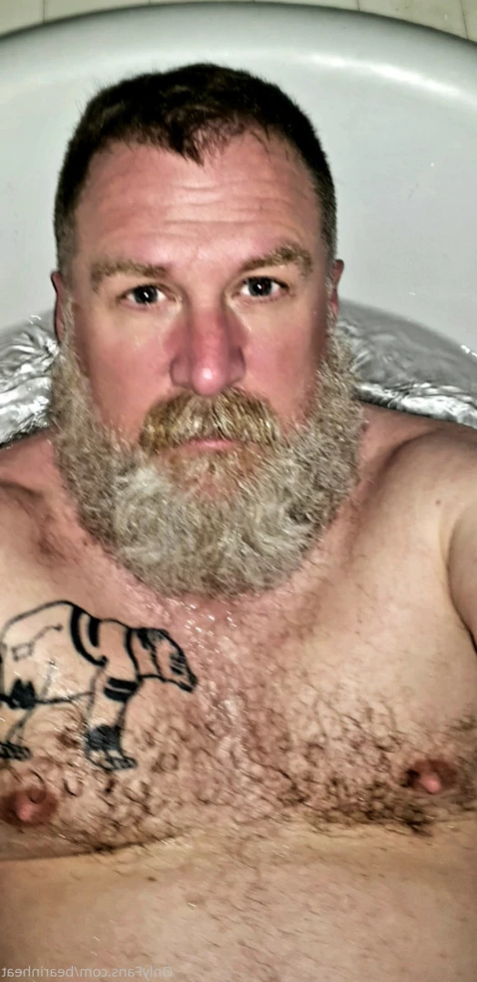 The Daddy Bear Life [ bearinheat ] Onlyfans leaked photo 13630386 on Hotleaks.tv