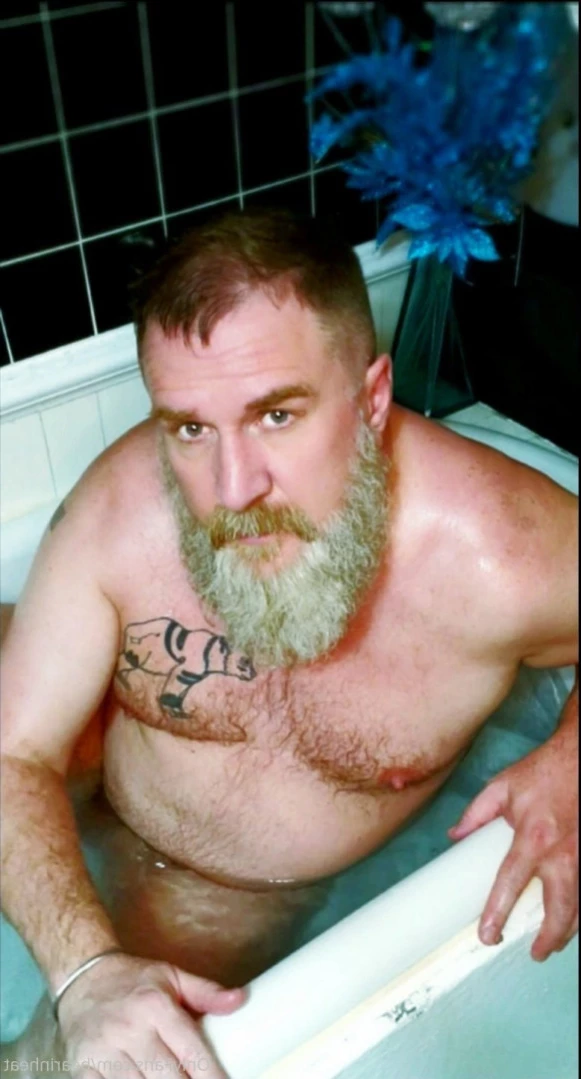 The Daddy Bear Life [ bearinheat ] Onlyfans leaked photo 13630931 on Hotleaks.tv
