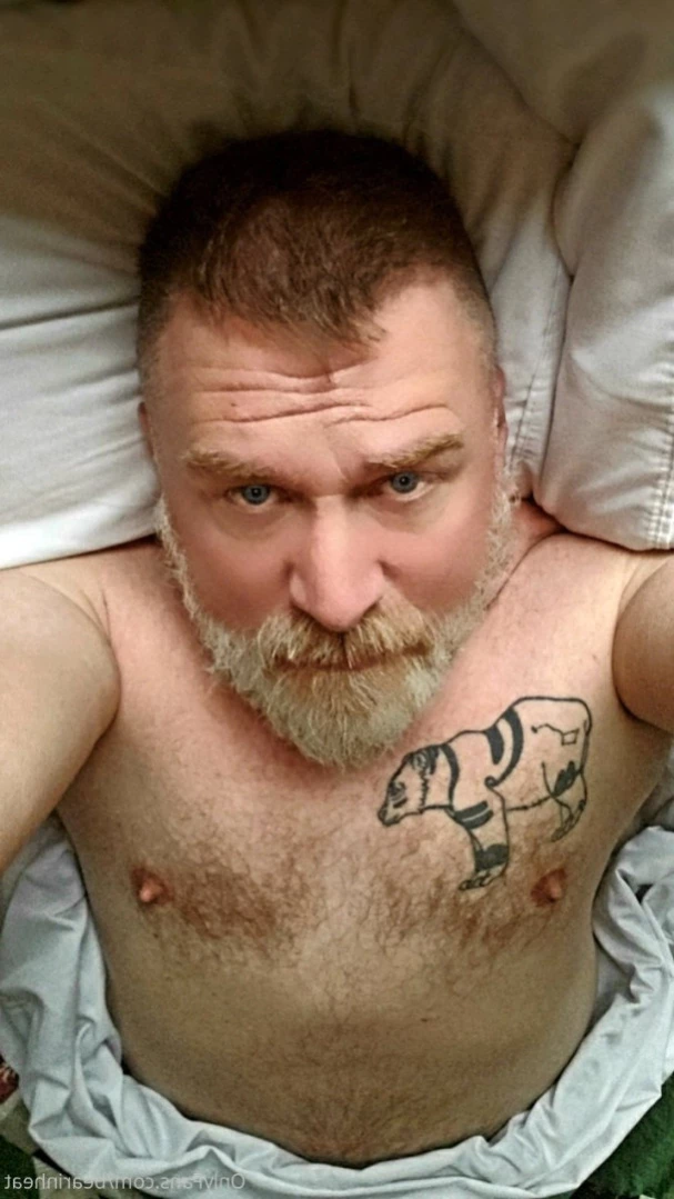The Daddy Bear Life [ bearinheat ] Onlyfans leaked photo 13639219 on Hotleaks.tv