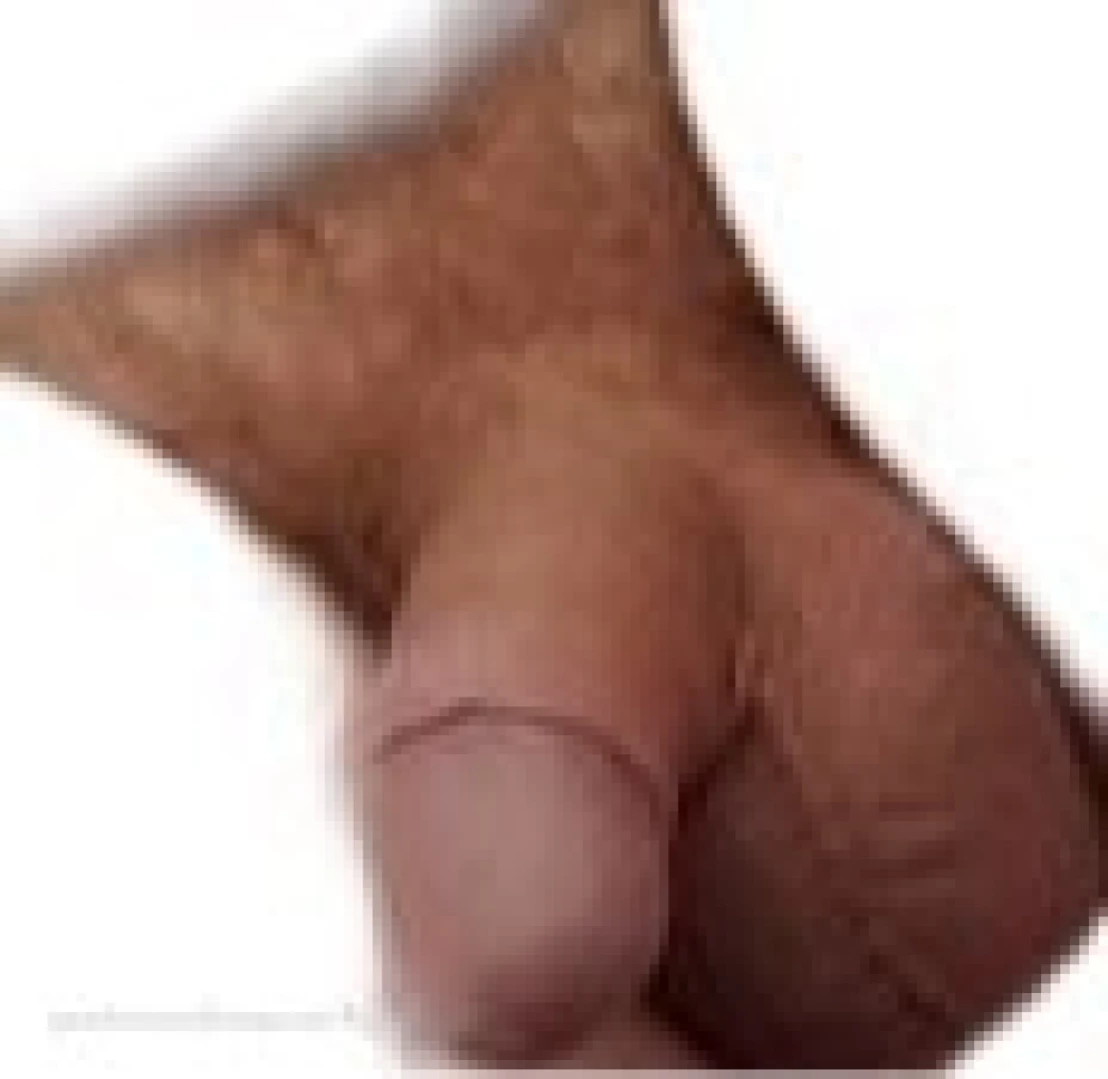 The Daddy Bear Life [ bearinheat ] Onlyfans leaked photo 13969040 on Hotleaks.tv