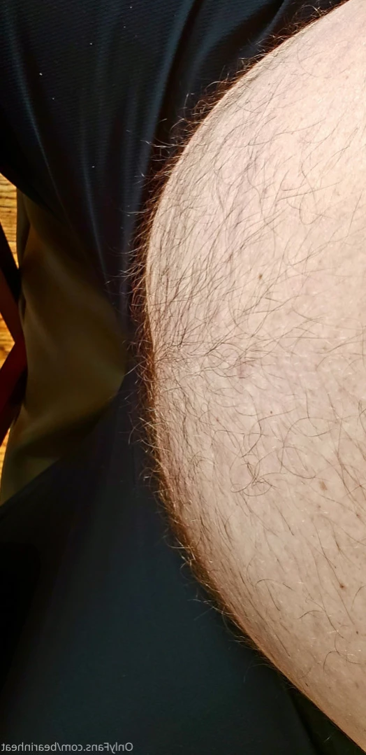 The Daddy Bear Life [ bearinheat ] Onlyfans leaked photo 14280600 on Hotleaks.tv