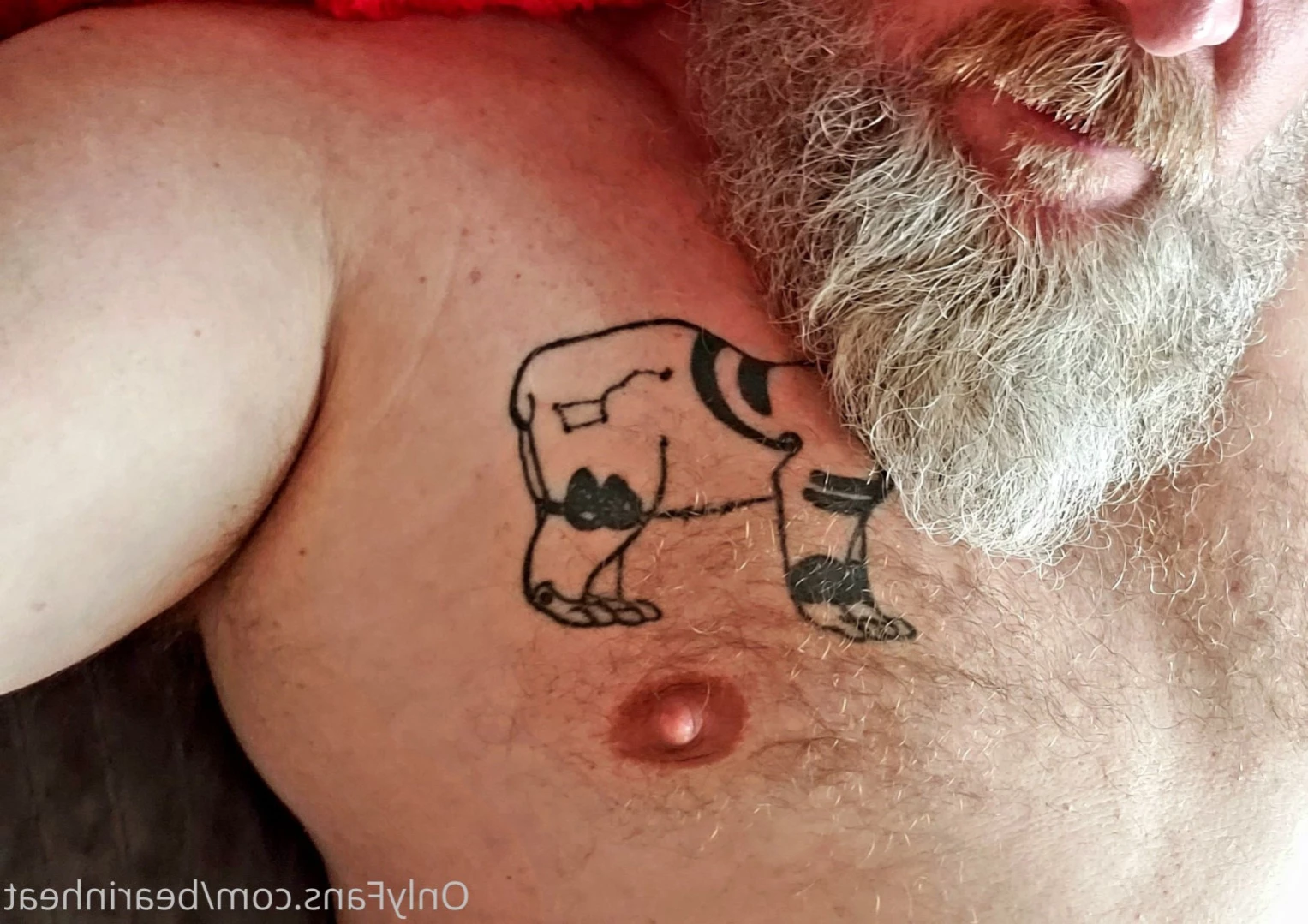 The Daddy Bear Life [ bearinheat ] Onlyfans leaked photo 14282205 on Hotleaks.tv