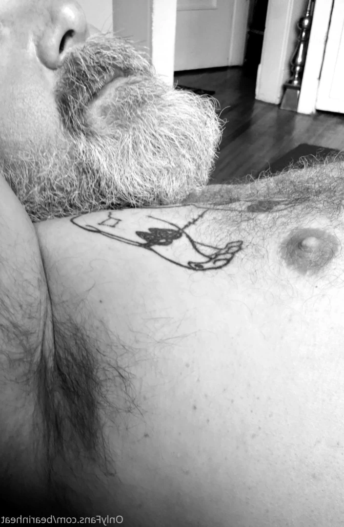 The Daddy Bear Life [ bearinheat ] Onlyfans leaked photo 14283108 on Hotleaks.tv