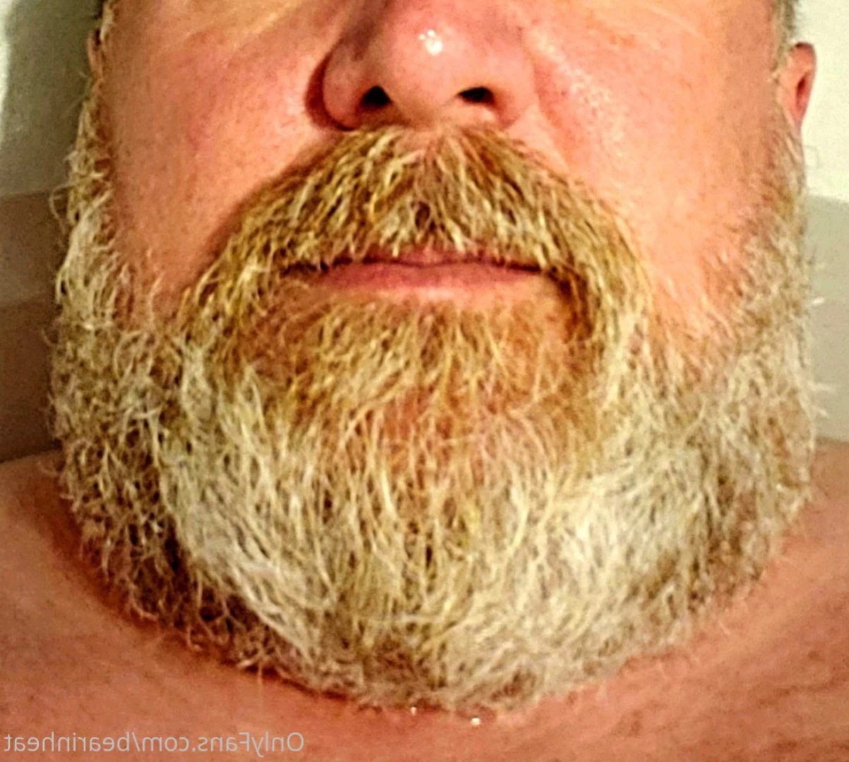 The Daddy Bear Life [ bearinheat ] Onlyfans leaked photo 14358400 on Hotleaks.tv