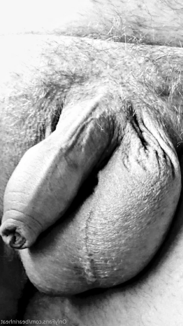 The Daddy Bear Life [ bearinheat ] Onlyfans leaked photo 14358448 on Hotleaks.tv