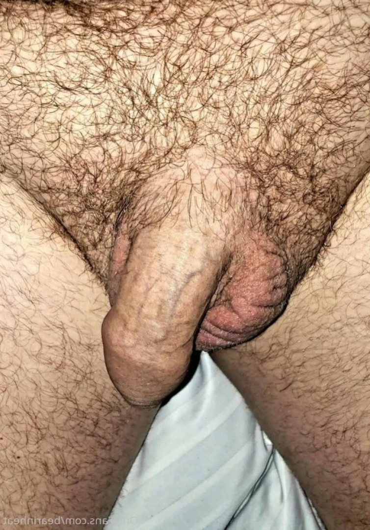 The Daddy Bear Life [ bearinheat ] Onlyfans leaked photo 14358517 on Hotleaks.tv