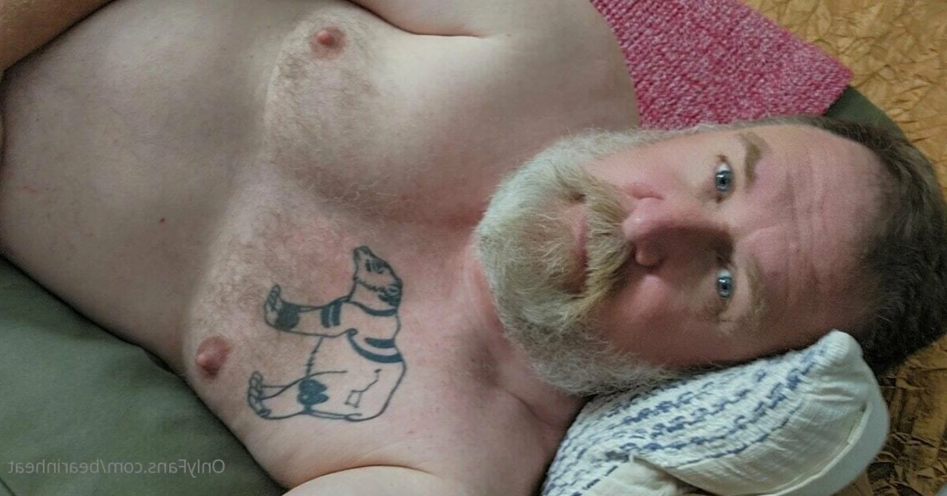 The Daddy Bear Life [ bearinheat ] Onlyfans leaked photo 14361693 on Hotleaks.tv
