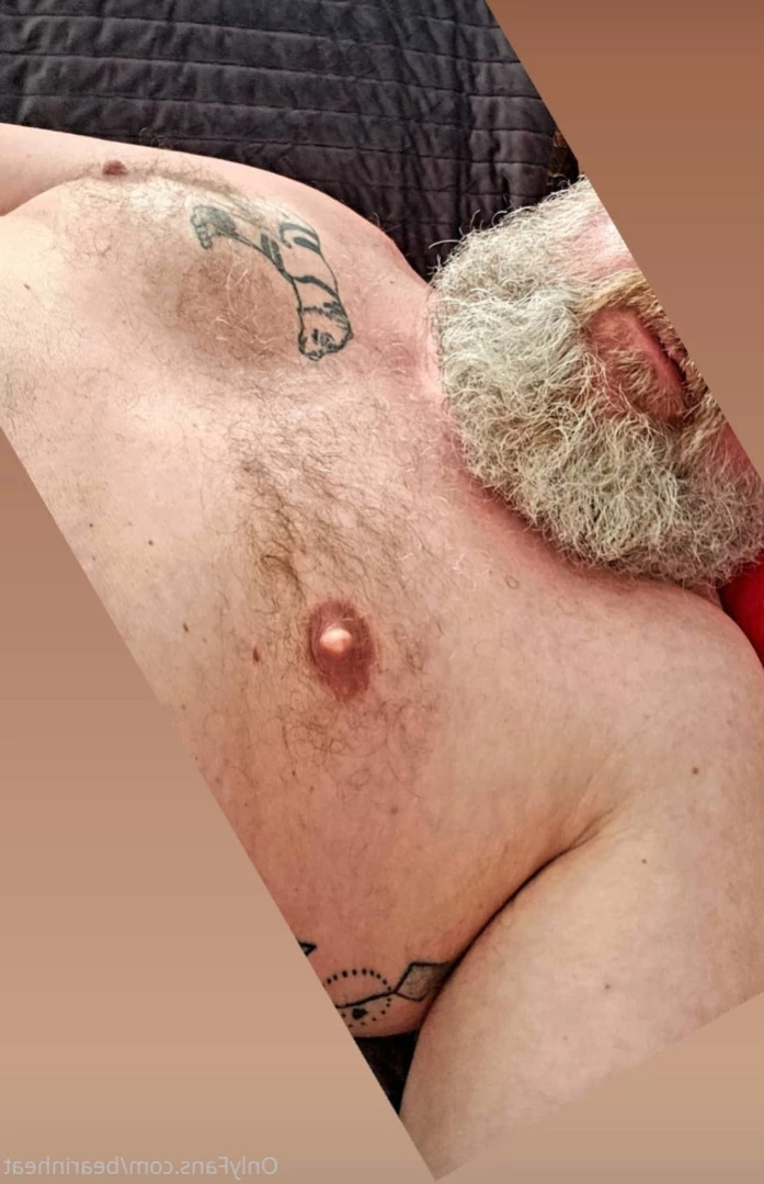 The Daddy Bear Life [ bearinheat ] Onlyfans leaked photo 14562397 on Hotleaks.tv