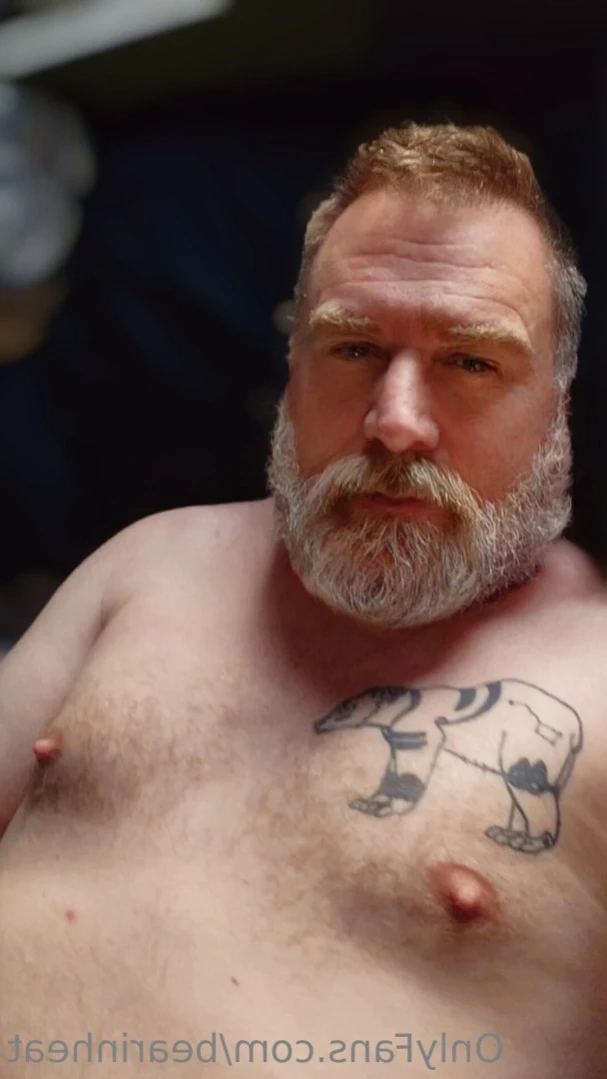 The Daddy Bear Life [ bearinheat ] Onlyfans leaked photo 14609249 on Hotleaks.tv