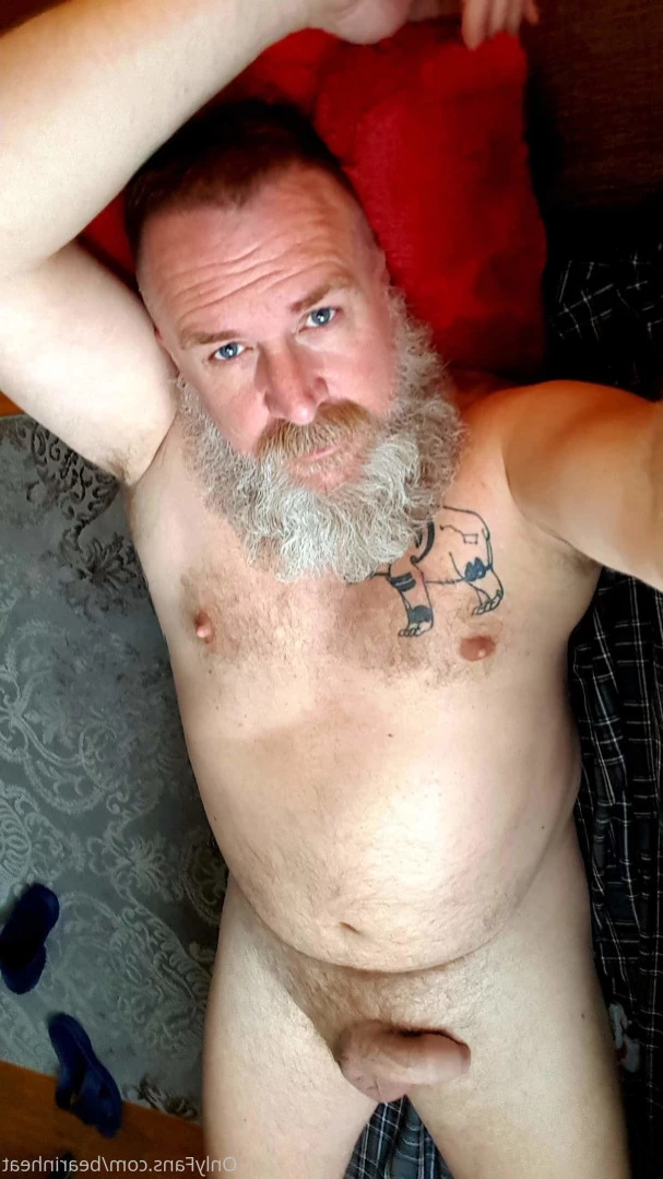 The Daddy Bear Life [ bearinheat ] Onlyfans leaked photo 14941650 on Hotleaks.tv