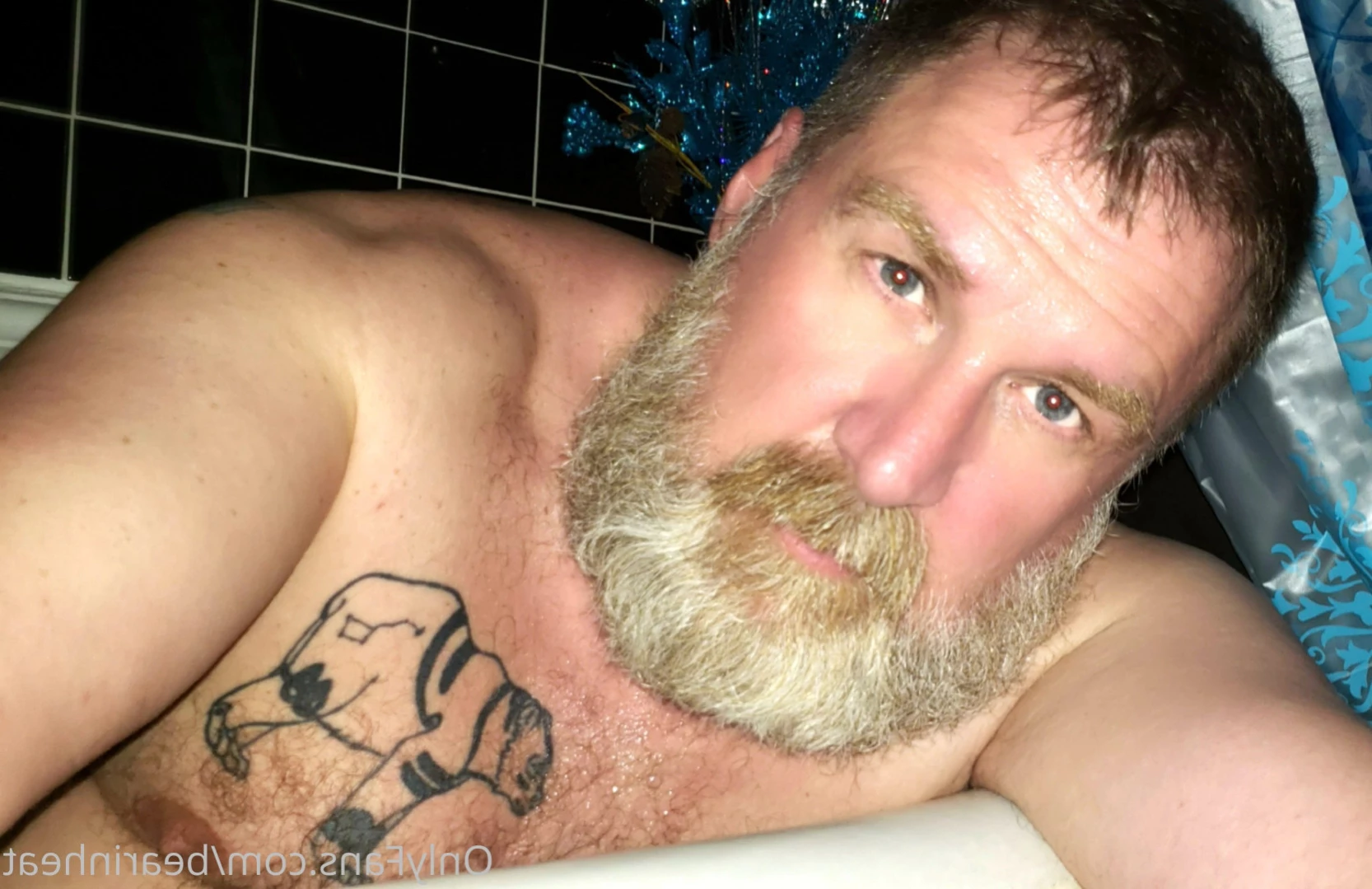 The Daddy Bear Life [ bearinheat ] Onlyfans leaked photo 14971493 on Hotleaks.tv